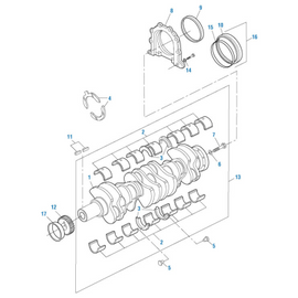 PAI EM21240 MACK 456GC5113P1 CRANKSHAFT (MADE IN SPAIN)