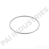 PAI 431376 NAVISTAR 1882823C1 SEALING RING (DT466E HEUI)