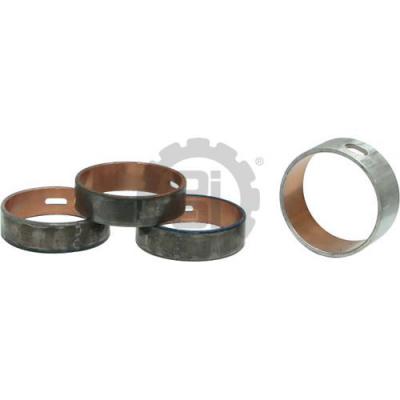 PAI 451487 NAVISTAR 1875869C92 CAM BEARING KIT (2004-2015 DT570 / DT466E)