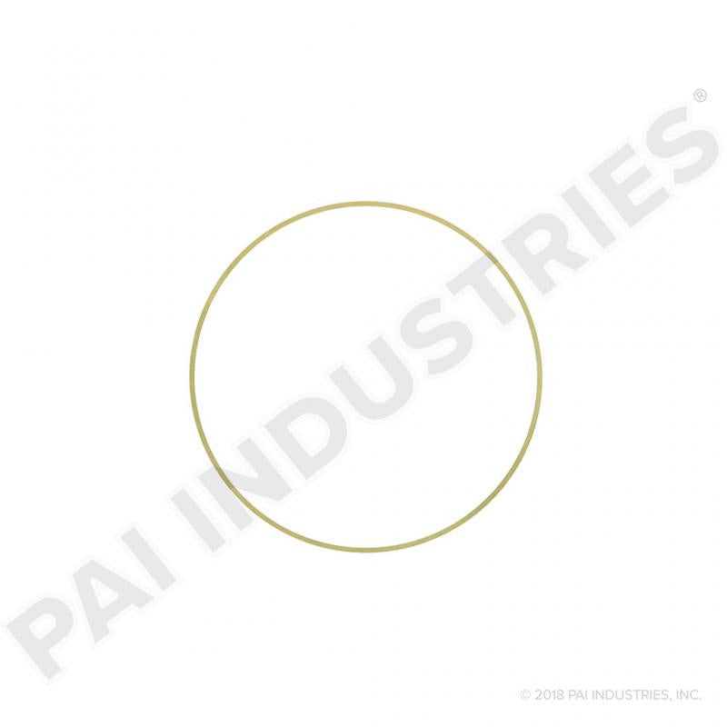 PACK OF 6 PAI 462033 NAVISTAR 1823122C1 LINER SHIM (.010) (USA)
