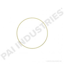 PACK OF 6 PAI 462035 NAVISTAR 1823124C1 LINER SHIM (.032)