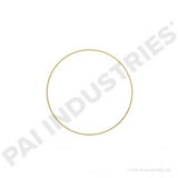 PACK OF 6 PAI 462034 NAVISTAR 1823123C1 LINER SHIM (.020)