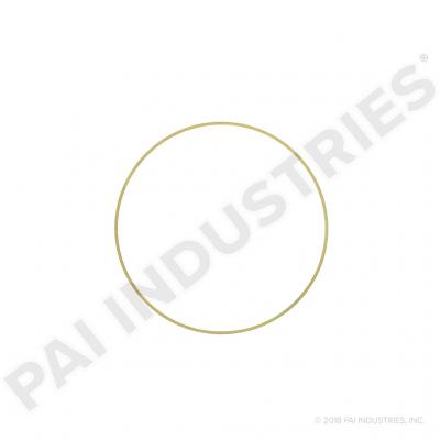 PACK OF 6 PAI 462031 NAVISTAR 1823120C1 LINER SHIM (.002)