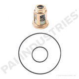 PAI 481852 NAVISTAR 1842128C91 BYPASS KIT (DT466E / DT530E / DT570) (OEM)