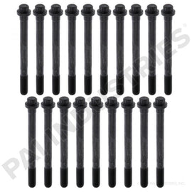 PACK OF 19 PAI 640015-019 DETROIT DIESEL 23530768 CYLINDER HEAD BOLT KIT (USA) | woodlineparts.com