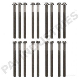 PACK OF 19 PAI 640038-019 DETROIT DIESEL A4720160169 CYLINDER HEAD BOLT (DD15)