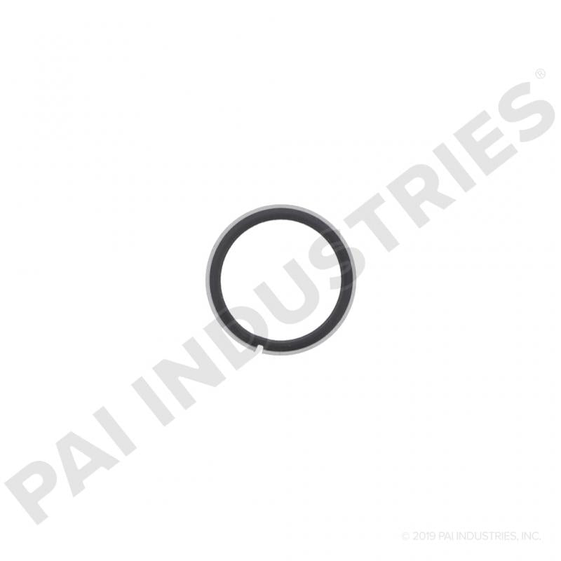 PACK OF 2 PAI 831006 MACK 8192189 SEALING RING