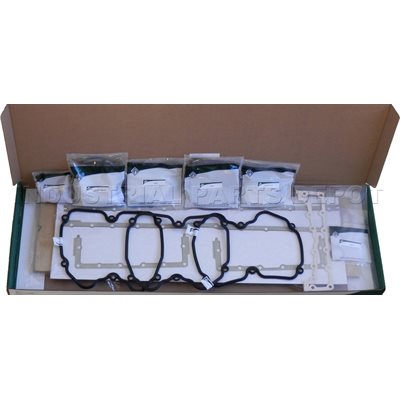 IPD C15001NLS OUT-OF-FRAME GASKET SET 48 (C15)