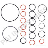 PAI EGS-3900-200 MACK N/A O-RING SUB KIT FOR EGS-3900 KIT (E6) (USA)