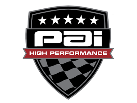 PACK OF 1 PAI 171811HP CUMMINS 3802070 SET,BRG,MAIN